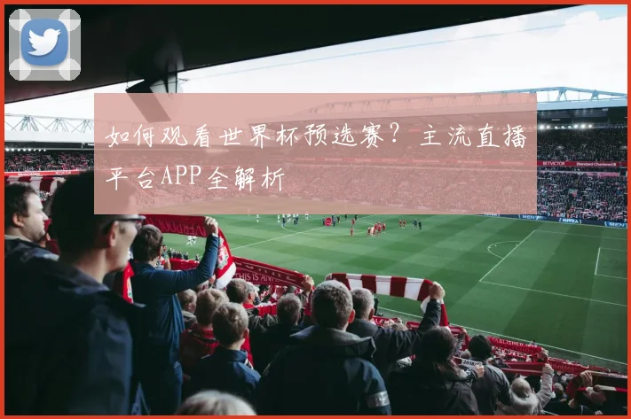 如何观看世界杯预选赛？主流直播平台APP全解析
