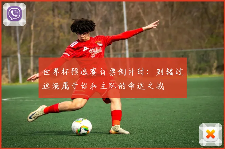 世界杯预选赛订票倒计时：别错过这场属于你和主队的命运之战